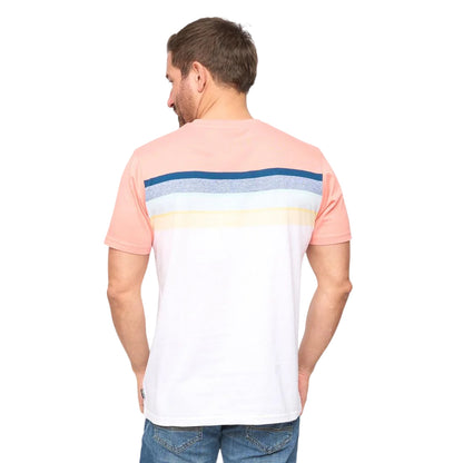 Coral Stripe - Back - Bewley & Ritch Mens Fenshaw T-Shirt