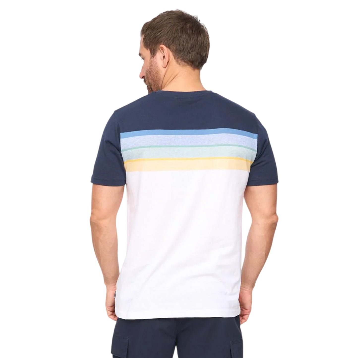 Navy Stripe - Back - Bewley & Ritch Mens Fenshaw T-Shirt