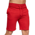 Red - Side - Crosshatch Mens Bengston Shorts