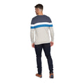 Grey Marl - Back - Duck and Cover Mens Fremmington Knitted Jumper