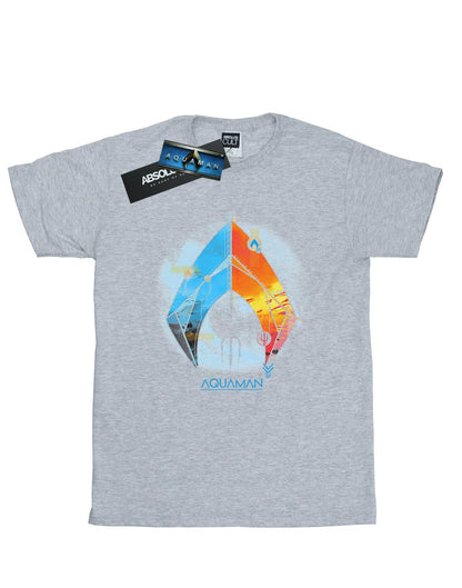 Sports Grey - Front - DC Comics Womens-Ladies Aquaman Tropical Logo Cotton Boyfriend T-Shirt