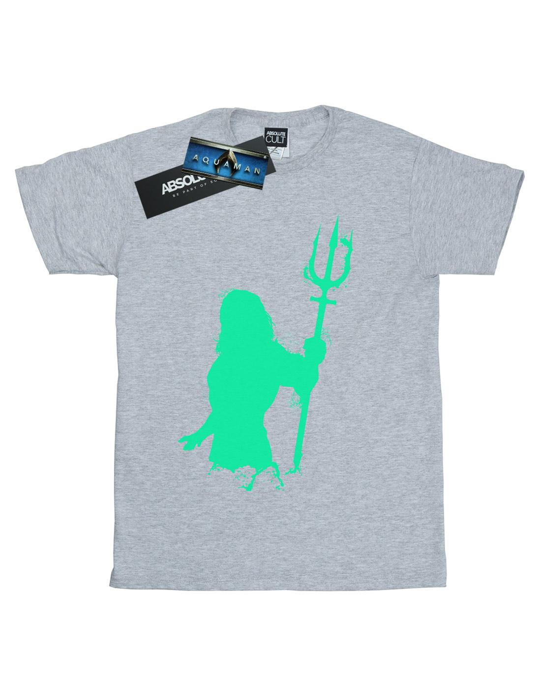 Sports Grey - Front - DC Comics Mens Aquaman Aqua Silhouette T-Shirt