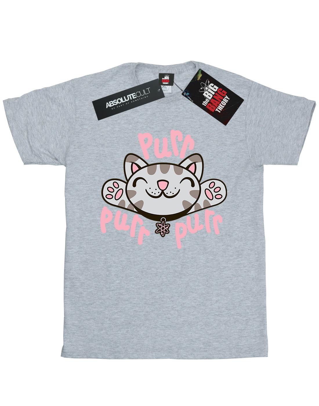 Sports Grey - Front - Big Bang Theory Womens-Ladies Soft Kitty Purr Cotton Boyfriend T-Shirt