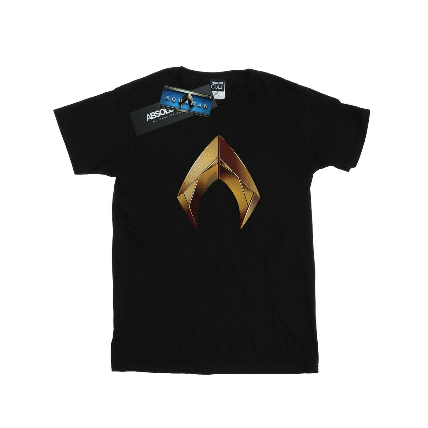 Black - Front - DC Comics Mens Aquaman Emblem T-Shirt