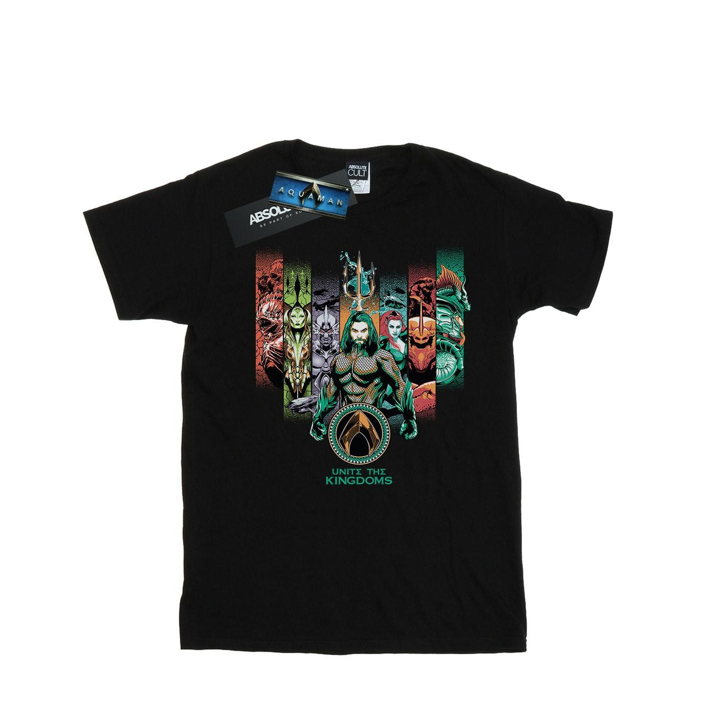 Black - Front - DC Comics Mens Aquaman Unite The Kingdoms T-Shirt