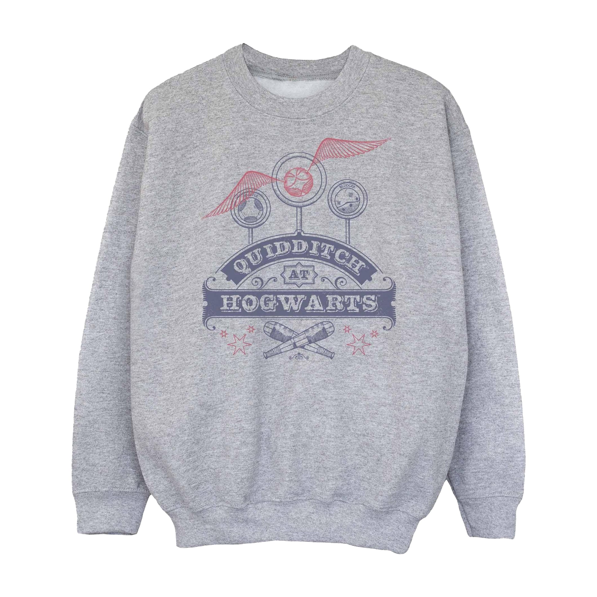 Sports Grey - Front - Harry Potter Girls Quidditch At Hogwarts Sweatshirt