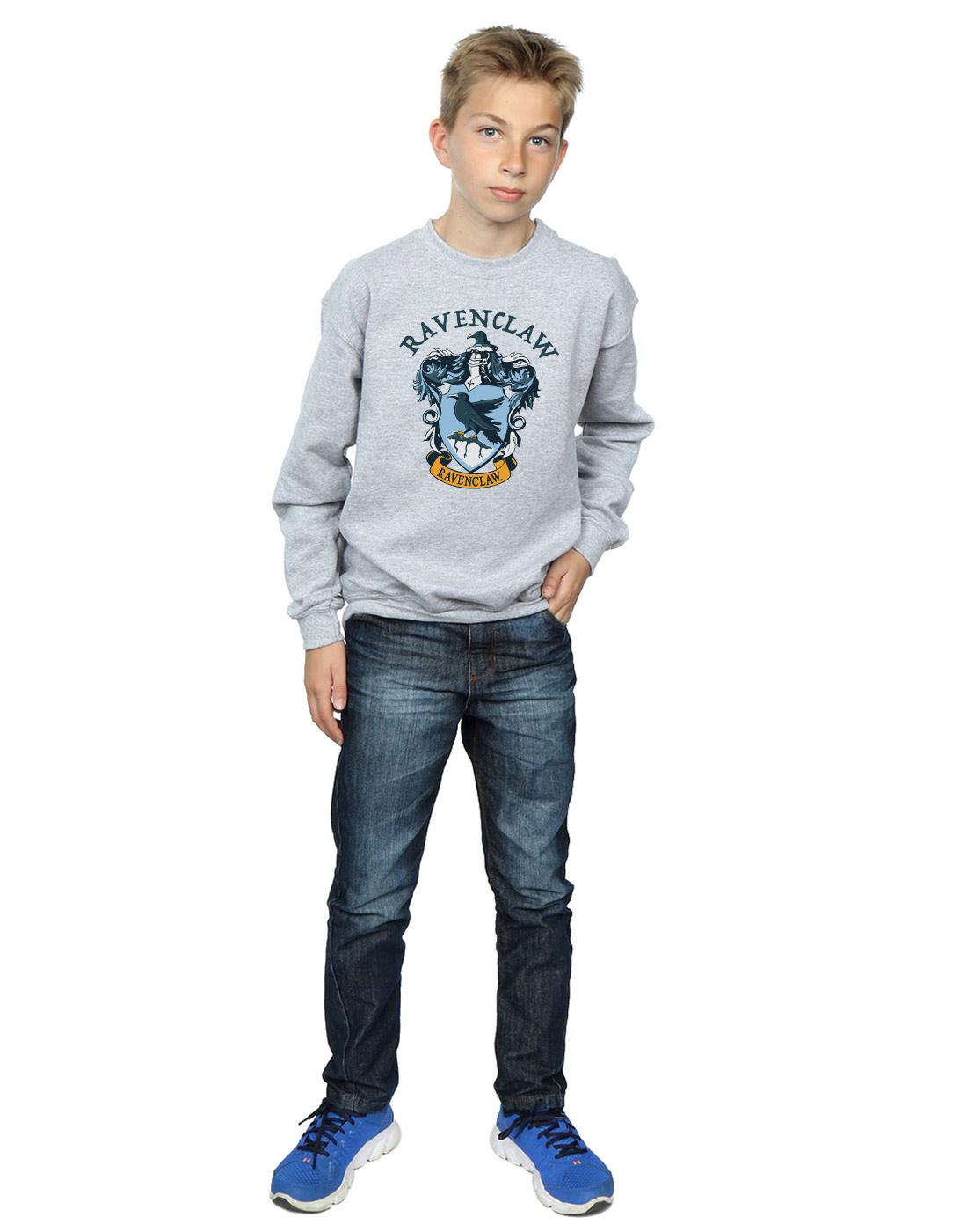 Sports Grey - Lifestyle - Harry Potter Boys Ravenclaw Cotton Sweatshirt