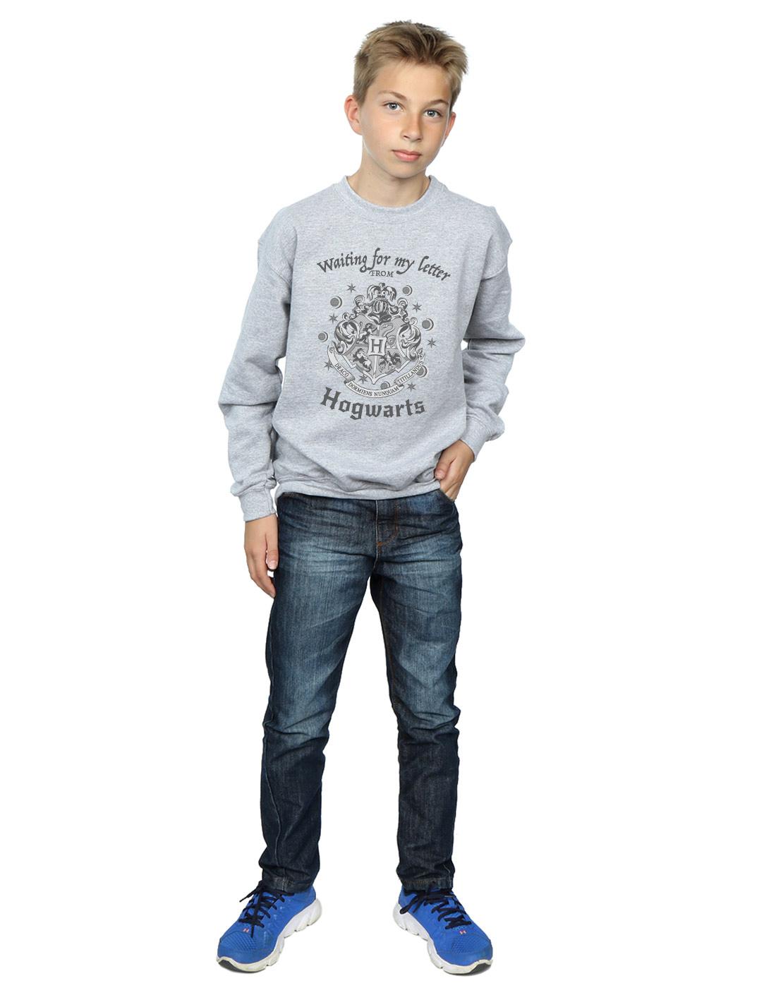 Sports Grey - Lifestyle - Harry Potter Boys Hogwarts Waiting For My Letter Sweatshirt