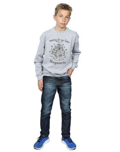 Sports Grey - Lifestyle - Harry Potter Boys Hogwarts Waiting For My Letter Sweatshirt