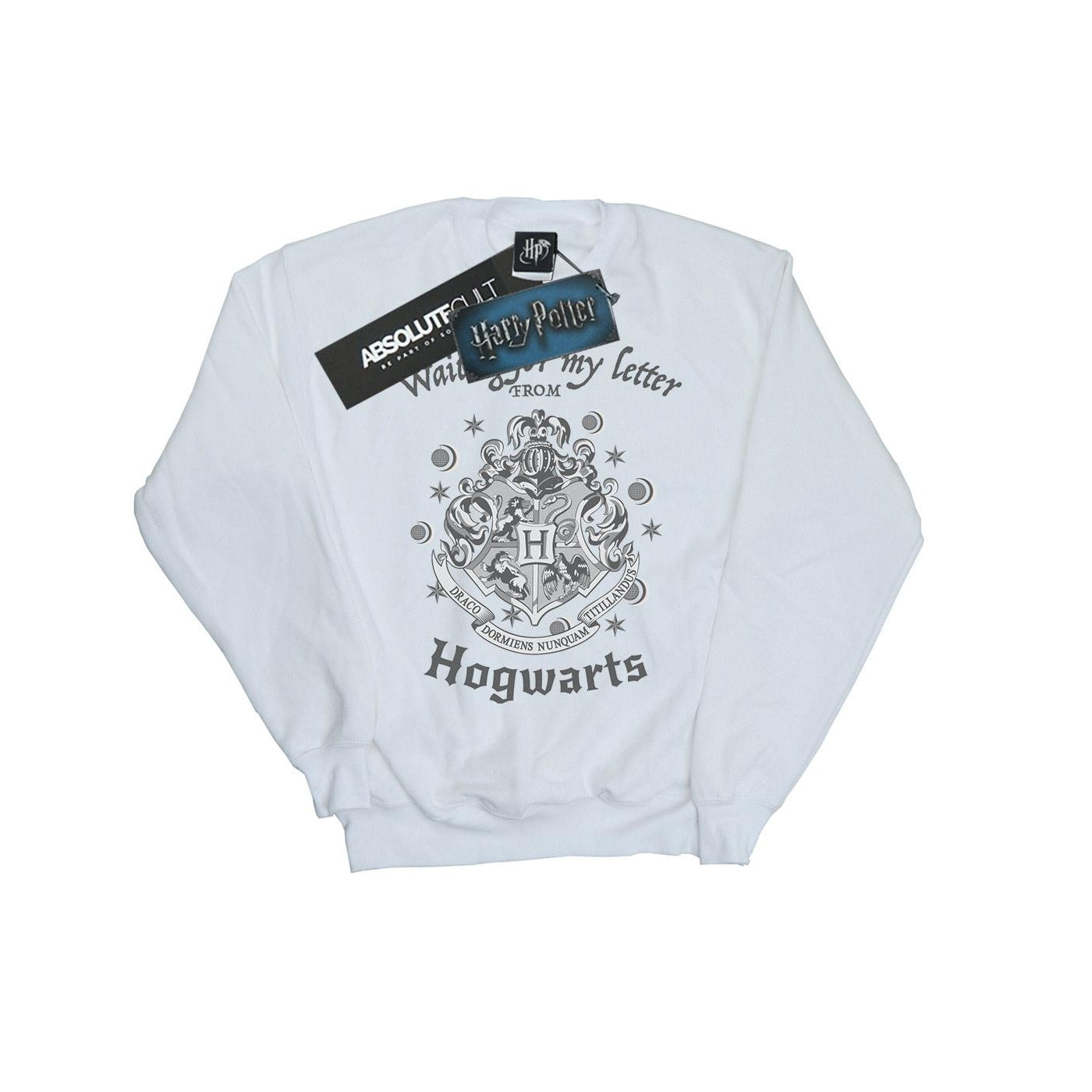 White - Front - Harry Potter Boys Hogwarts Waiting For My Letter Sweatshirt