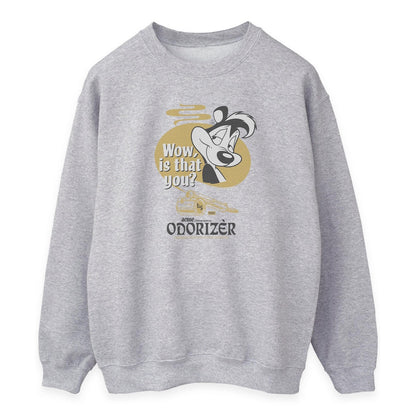 Heather Grey - Front - Looney Tunes Womens-Ladies Odorizer Pepe Le Pew Sweatshirt