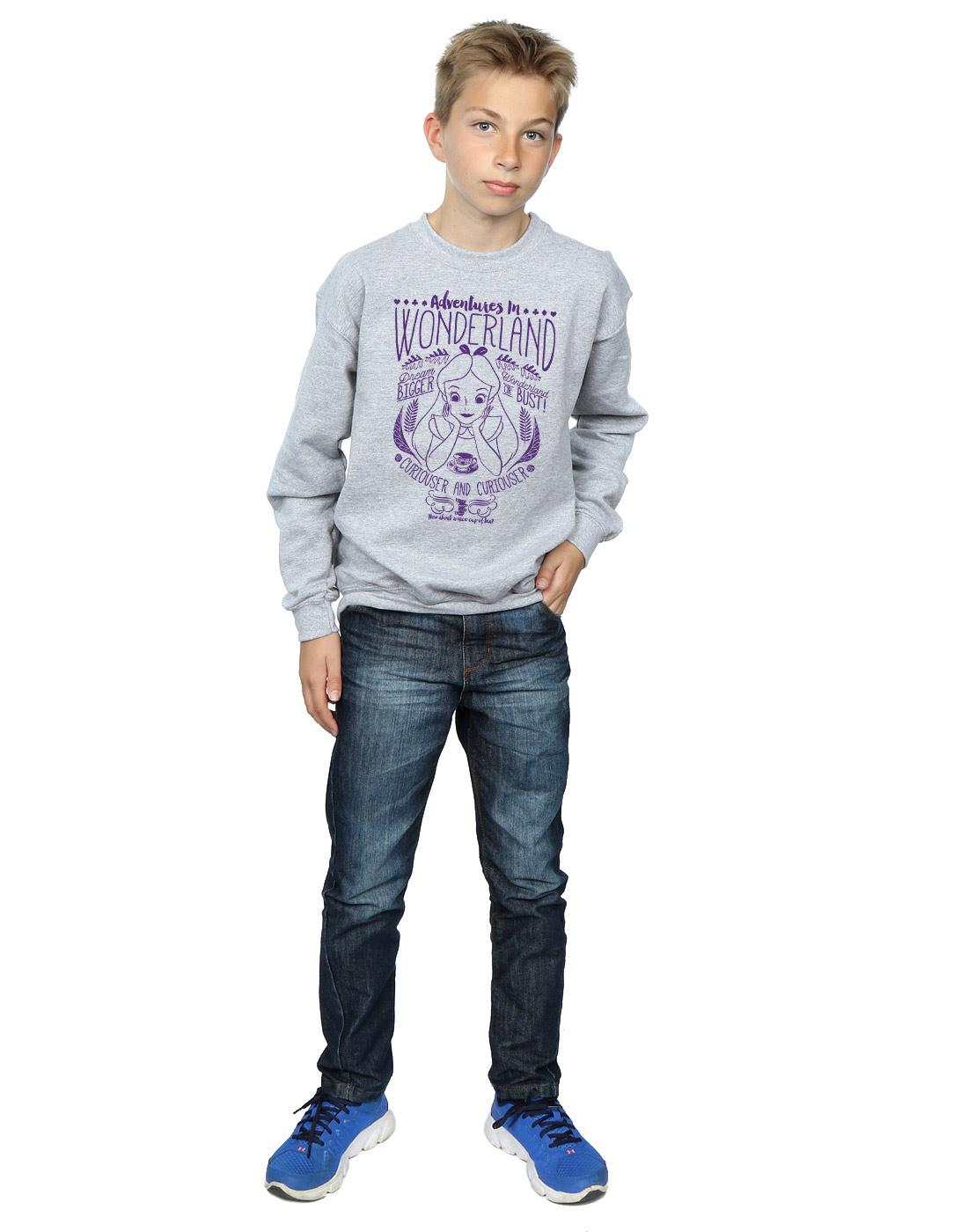 Sports Grey - Lifestyle - Disney Boys Alice In Wonderland Adventures Sweatshirt