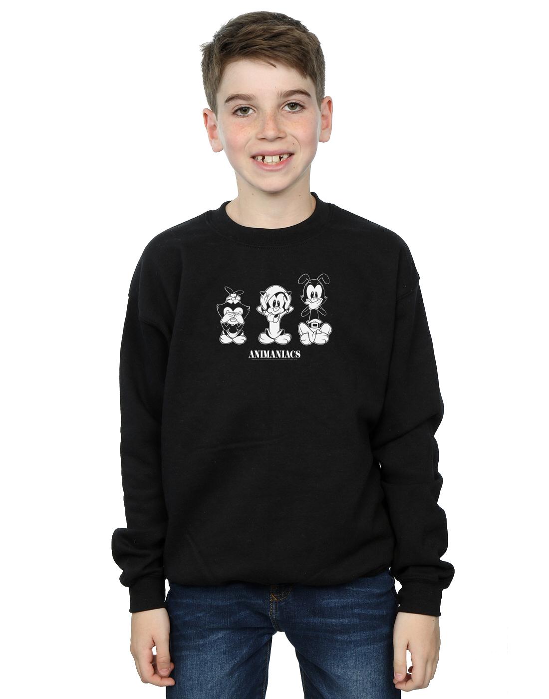 Black - Back - Animaniacs Boys Three Evils Sweatshirt