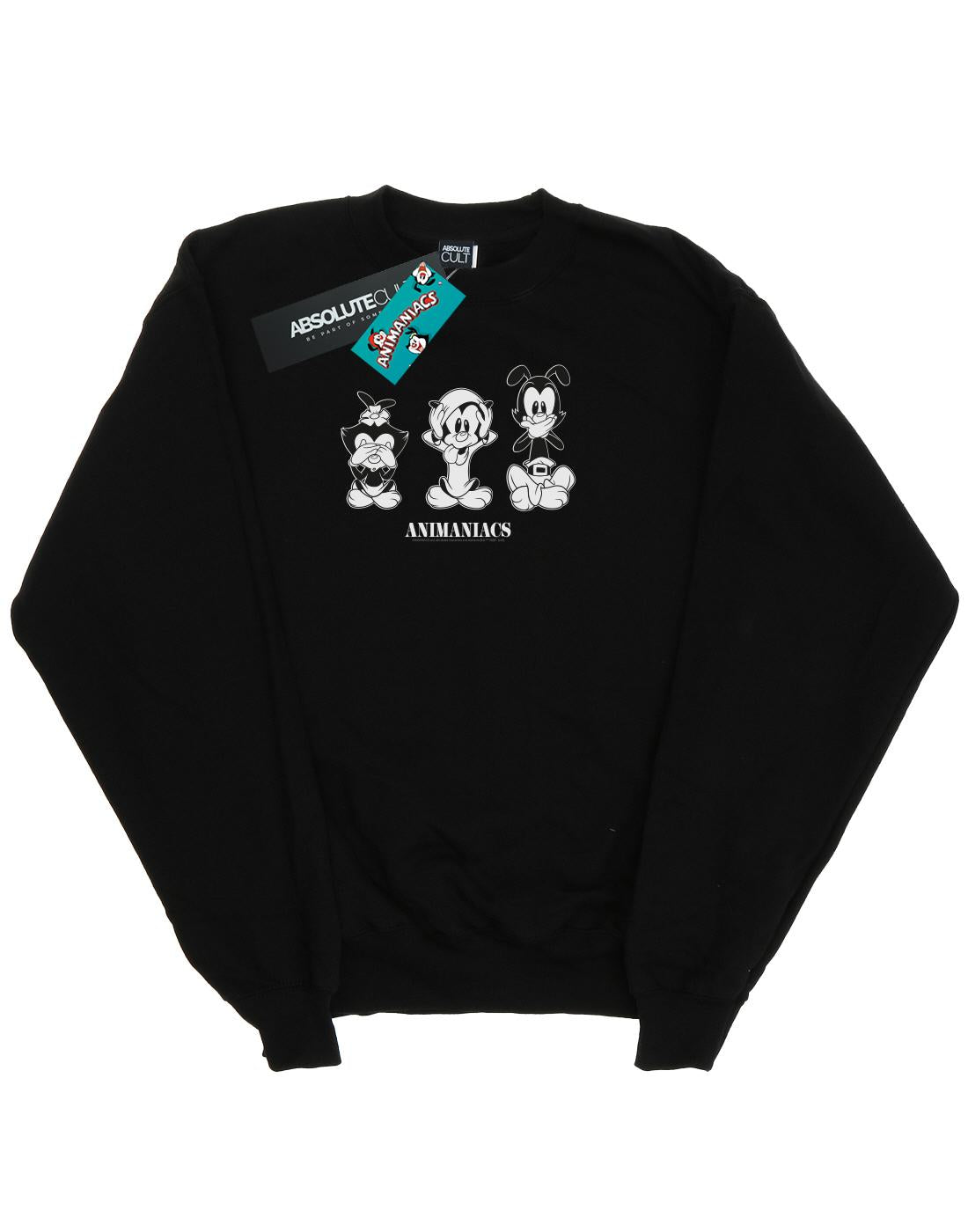 Black - Front - Animaniacs Boys Three Evils Sweatshirt