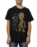Black - Pack Shot - Guardians Of The Galaxy Boys I Am Groot Scribble Cotton T-Shirt
