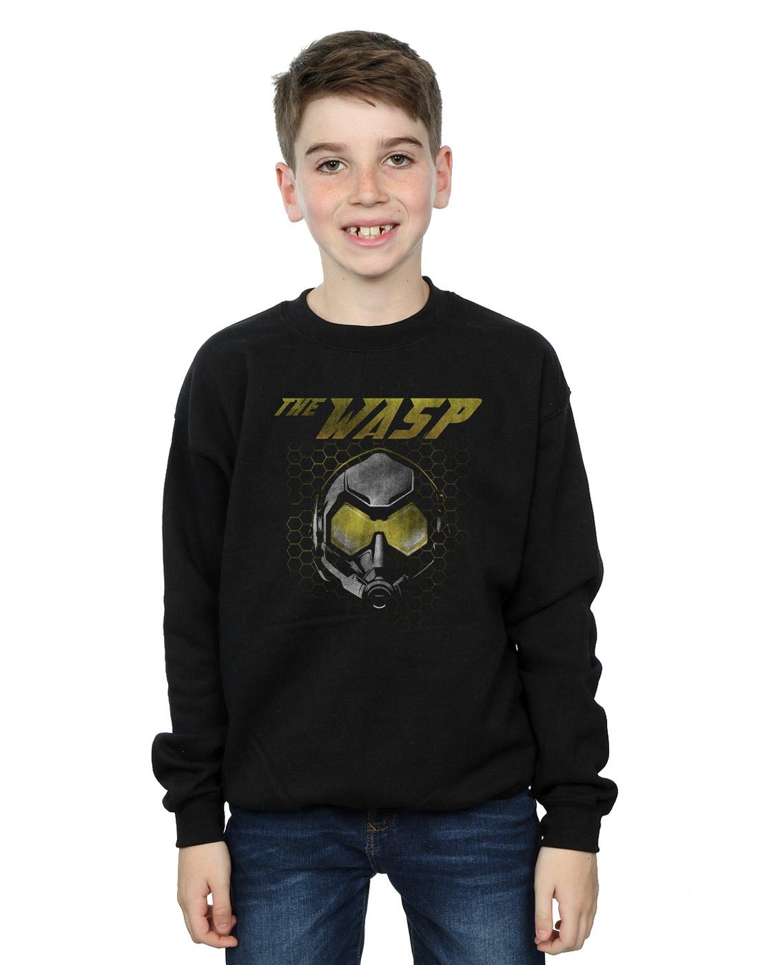 Black - Back - Marvel Boys Ant-Man And The Wasp Hope Mask Hexagon Sweatshirt