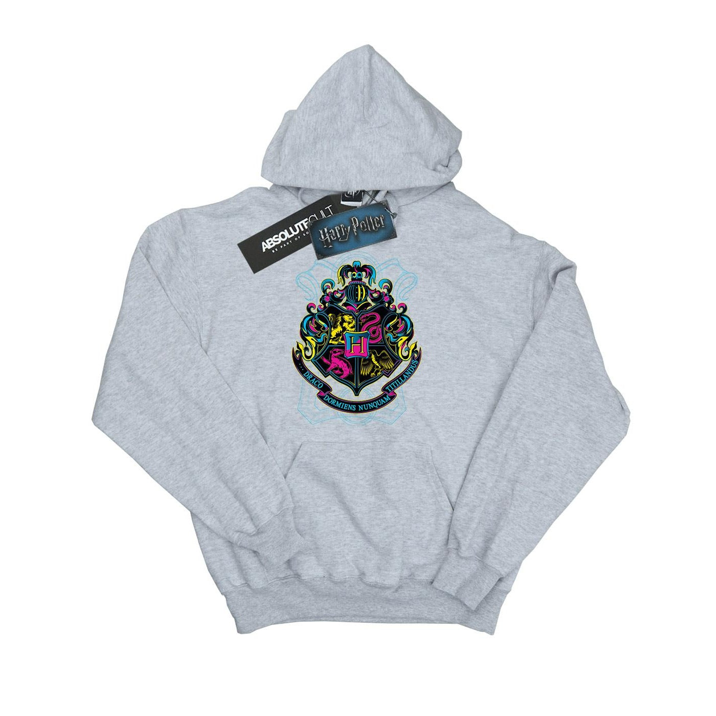 Sports Grey - Front - Harry Potter Girls Hogwarts Crest Cotton Hoodie