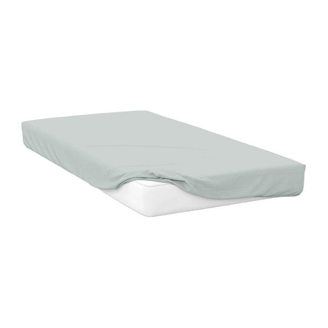 Thyme - Front - Belledorm 200 Thread Count Egyptian Cotton Fitted Sheet