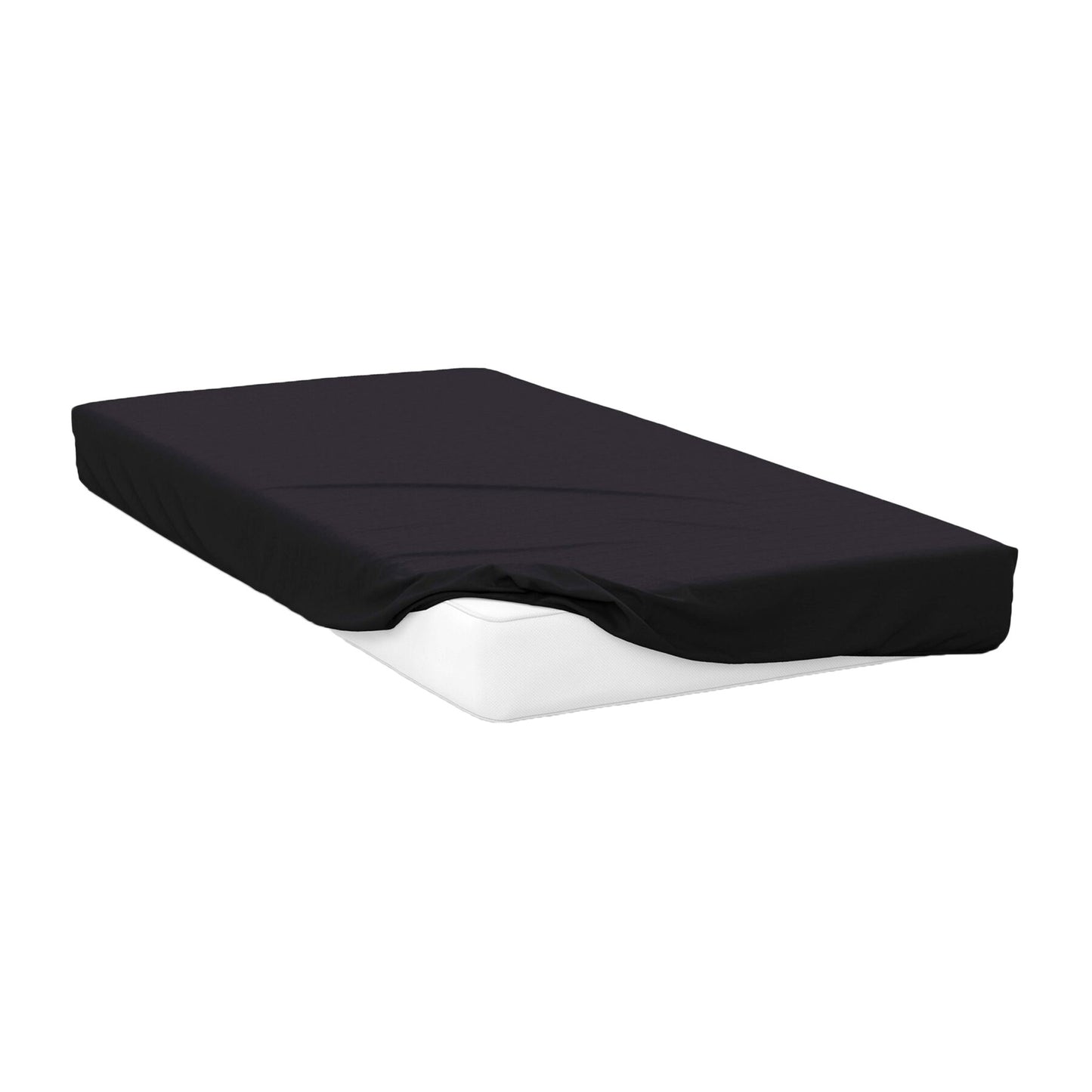 Black - Front - Belledorm 200 Thread Count Egyptian Cotton Fitted Sheet