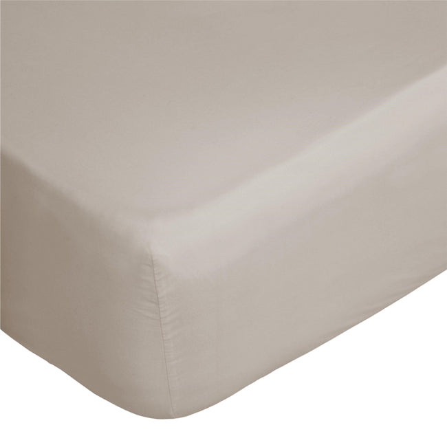 Oyster - Back - Belledorm 200 Thread Count Egyptian Cotton Deep Fitted Sheet