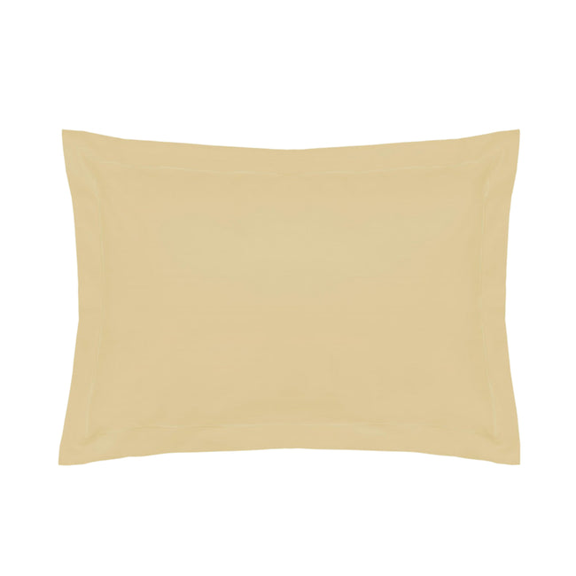 Papyrus - Front - Belledorm 200 Thread Count Egyptian Cotton Housewife Pillowcases (Pair)
