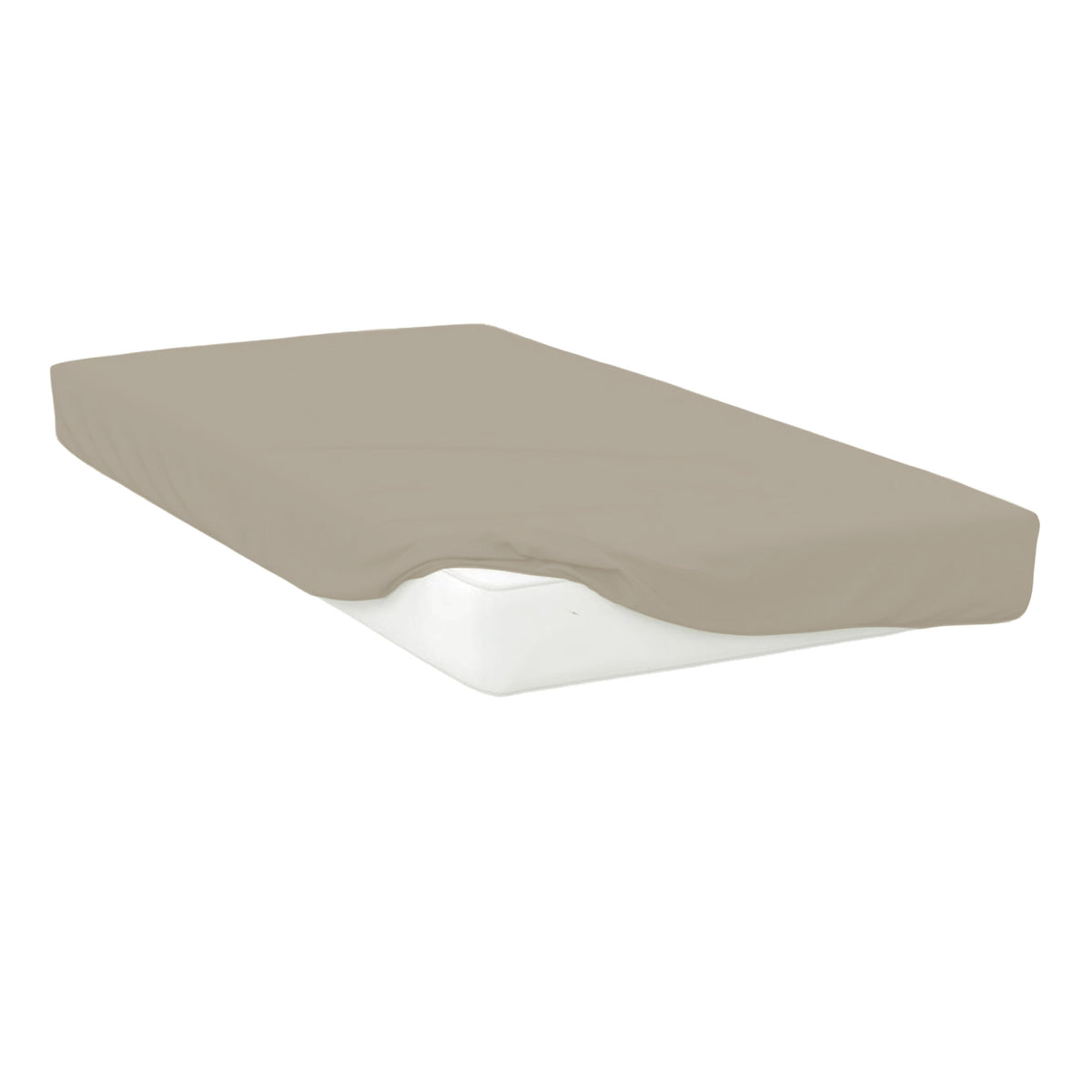 Mushroom - Front - Belledorm Easycare Percale Fitted Sheet