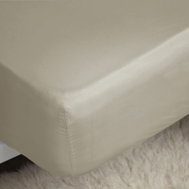 Mushroom - Back - Belledorm Easycare Percale Fitted Sheet