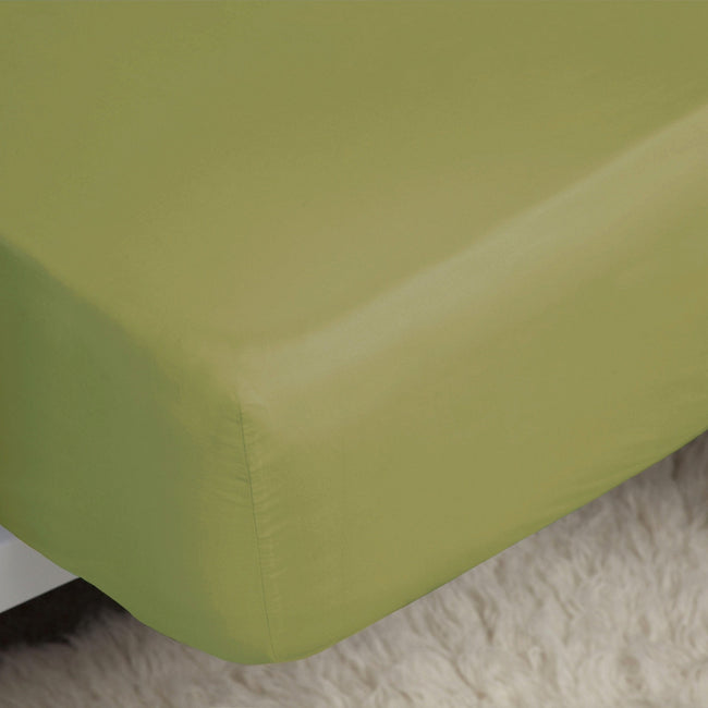 Olive - Side - Belledorm Easycare Percale Fitted Sheet