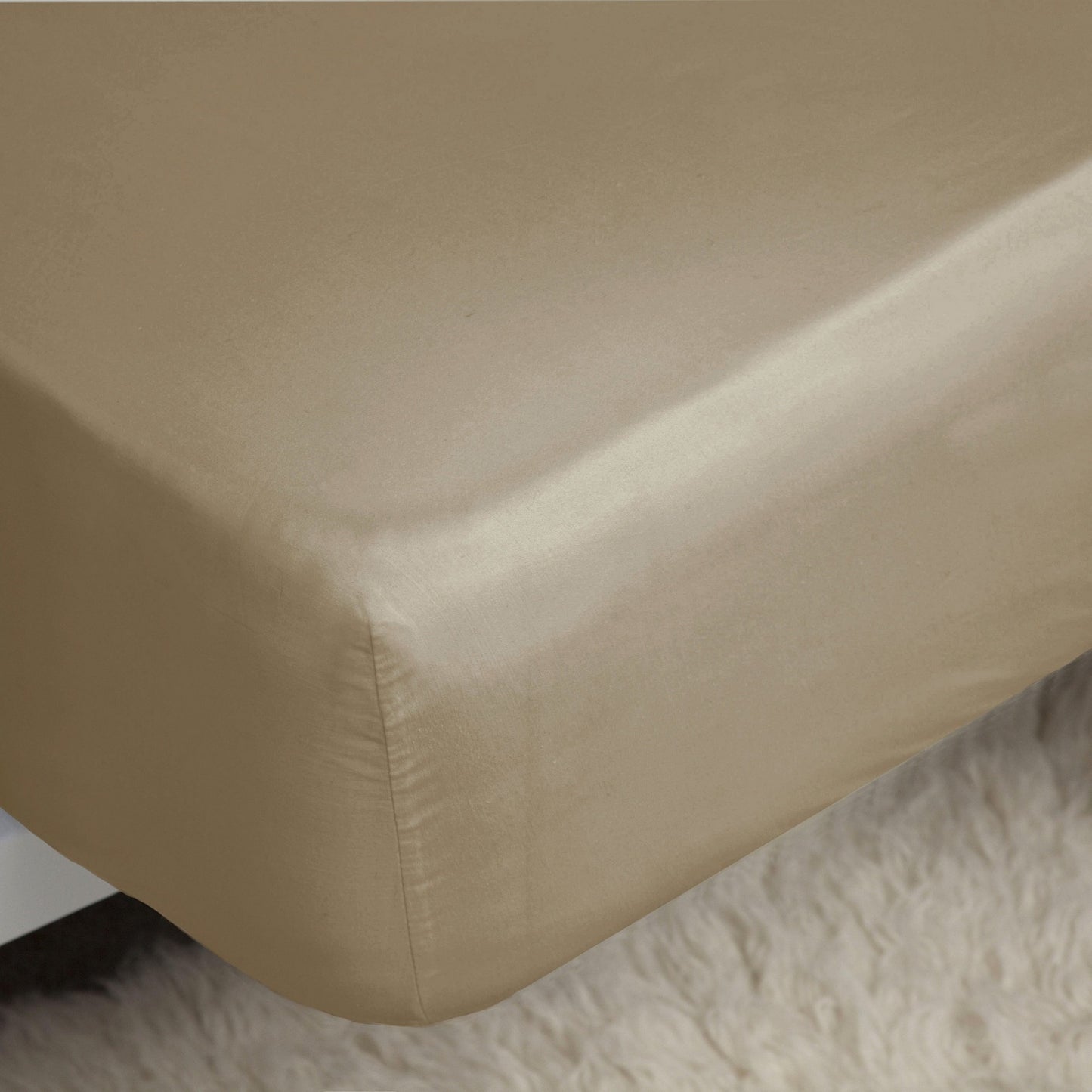 Walnut Whip - Back - Belledorm Easycare Percale Fitted Sheet