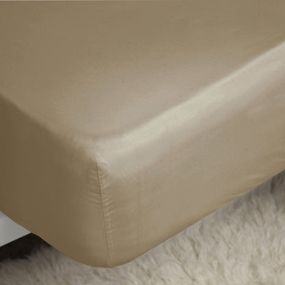 Walnut Whip - Back - Belledorm Easycare Percale Fitted Sheet