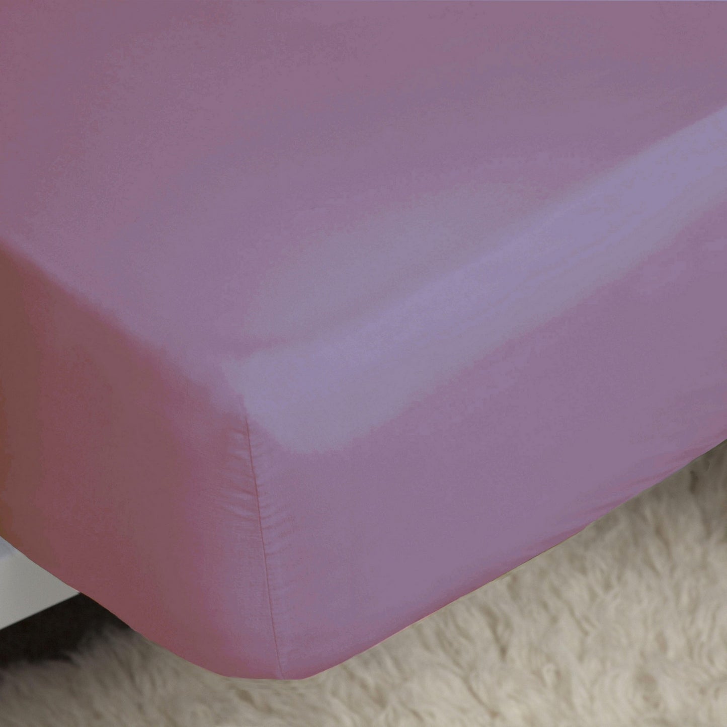 Misty Rose - Back - Belledorm Easycare Percale Fitted Sheet