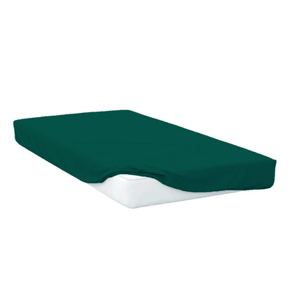 Forest - Front - Belledorm Easycare Percale Fitted Sheet