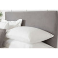 Charcoal - Front - Belledorm Faux Suede Headboard Cover