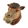 Brown - Front - Bristol Novelty Adults Unisex Camel Mask