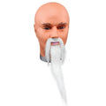 White - Back - Bristol Novelty Adults Unisex Adhesive Wizard Beard And Moustache