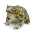 Green-Brown - Front - Bristol Novelty Rubber Toad