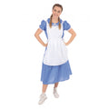 Blue-White - Front - Bristol Novelty Womens-Ladies Classic Country Girl Costume
