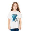 White - Front - Harry Potter Childrens-Kids Ravenclaw T-Shirt