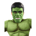 Green-Black - Back - Hulk Boys Deluxe Costume