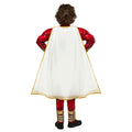Red-Gold - Back - Shazam Boys Polyester Costume