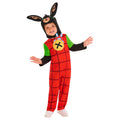 Multicoloured - Lifestyle - Bing Childrens-Kids Deluxe Costume Set