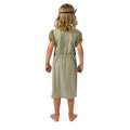 Grey-Brown - Back - Bristol Novelty Boys Viking Costume