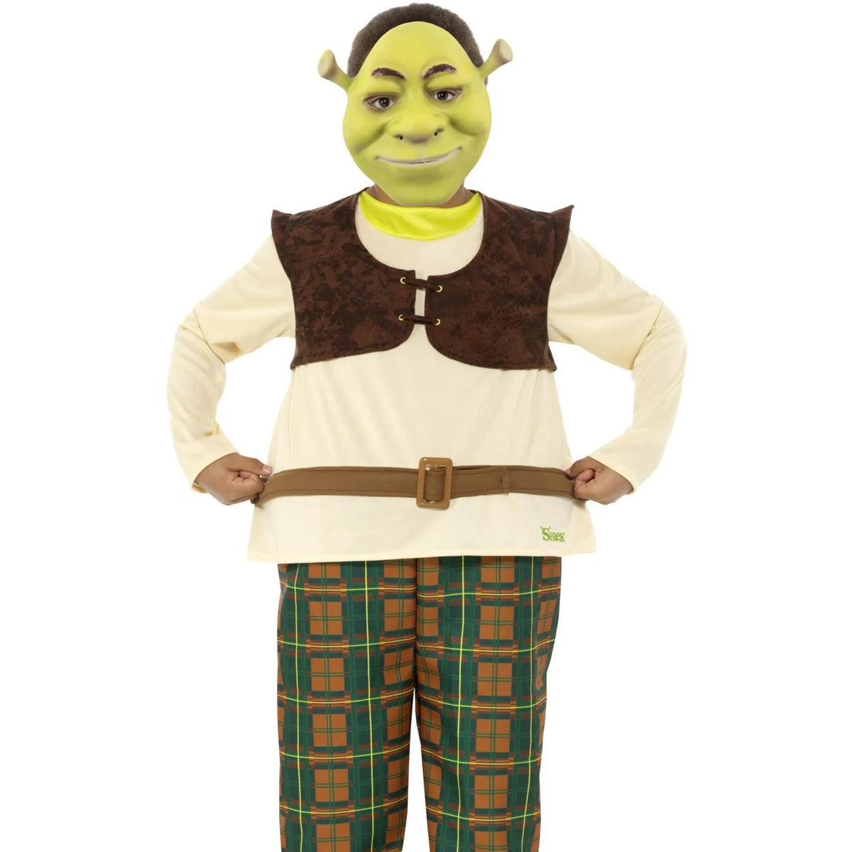 Green-Brown-Beige - Back - Shrek Childrens-Kids Costume