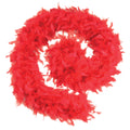 Red - Front - Bristol Novelty Unisex Adults Budget Feather Boa