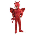 Red - Front - Bristol Novelty Childrens-Kids Dragon Costume