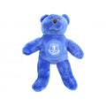 Blue - Front - Everton FC Solid Bear