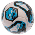 Blue-White-Black - Back - Tottenham Hotspur FC Tracer PVC Football