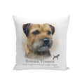 Brown-White - Front - Border Terrier Filled Cushion