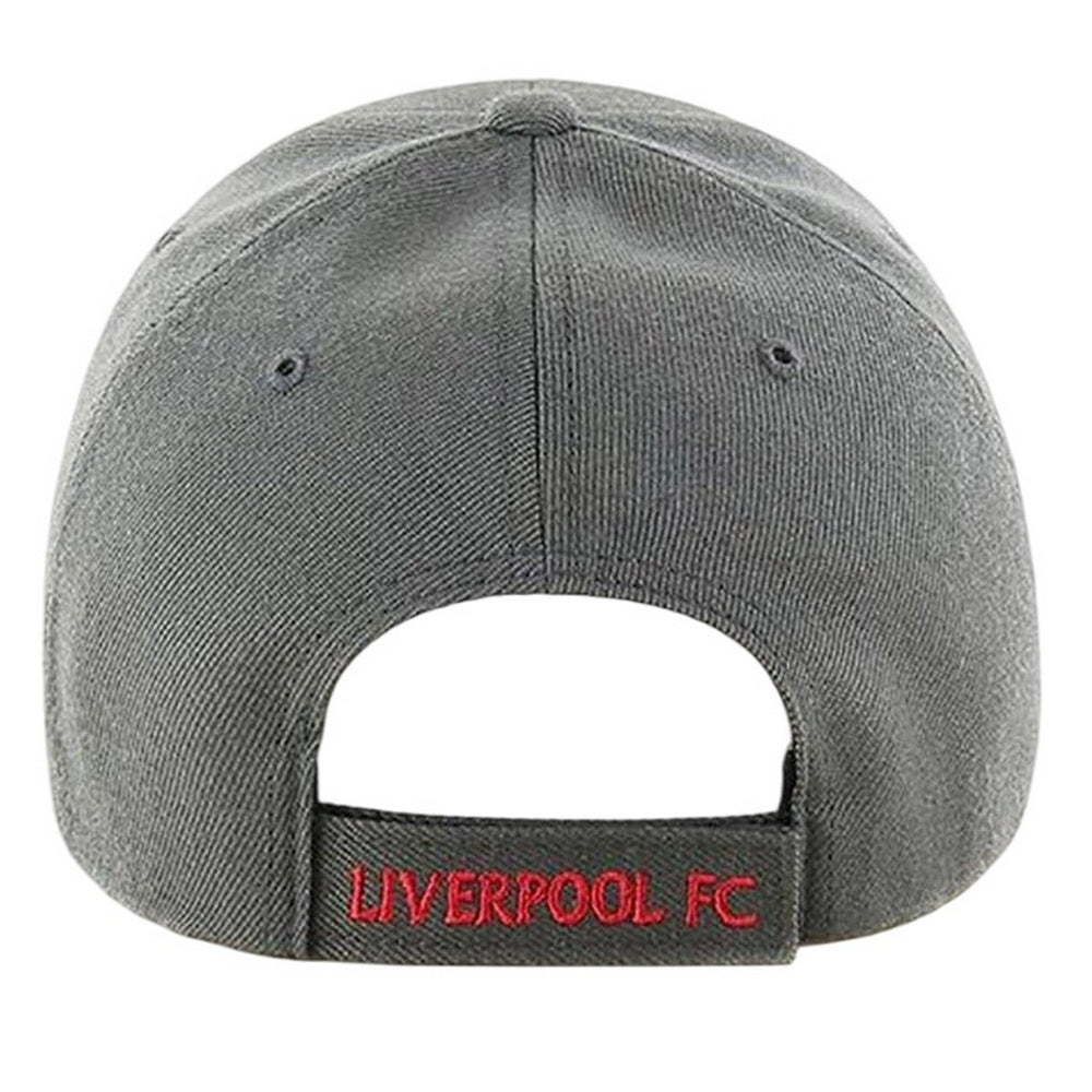 Charcoal-Brown - Back - Liverpool FC MVP 47 Curved Peak Baseball Cap