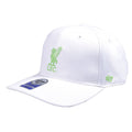 White-Green - Front - Liverpool FC MVP 47 Low Profile Snapback Cap